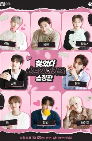 Дорама В поисках Stray Kids онлайн